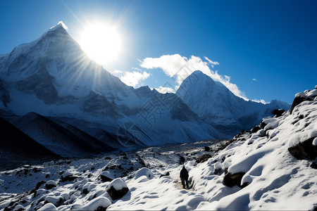 阳光下的雪山图片