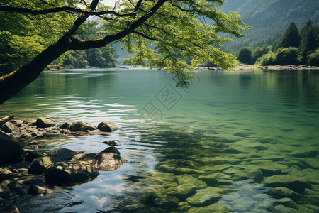 清澈美丽的湖泊图片