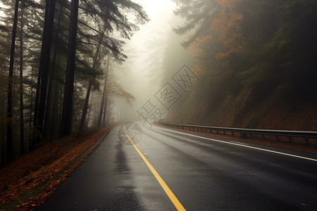 下雨的路面图片