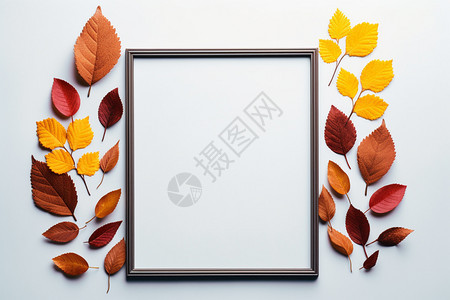 落叶环绕的相框背景图片
