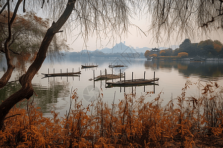 的美丽景观图片