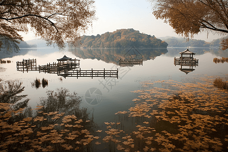 秋日的美景图片