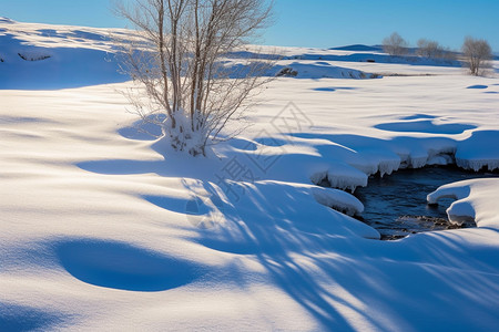 坝上雪原背景图片