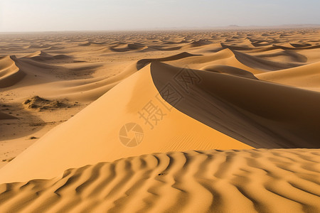 沙漠的自然景观图片