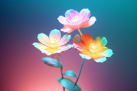 神奇的3D花朵背景图片