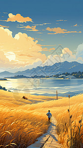 秋天金黄色的麦田插图背景图片
