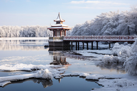 被雪覆盖的湖心亭图片