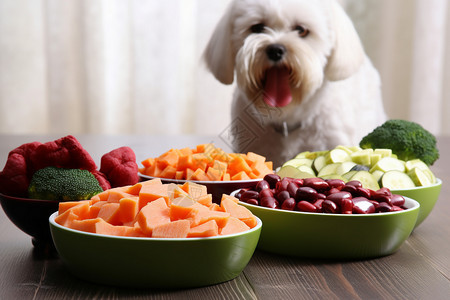 吃晚餐的狗狗背景图片