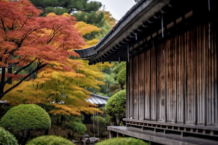 庭院里的小屋图片