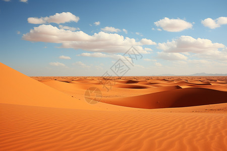 热带的沙漠图片