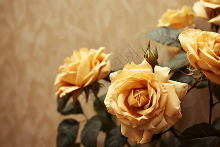 一簇黄玫瑰图片