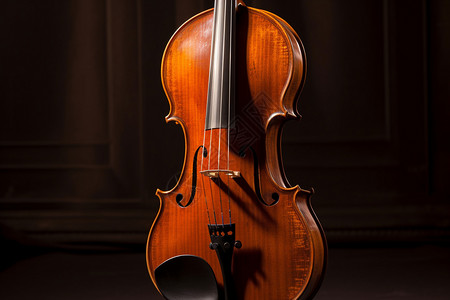 典雅高贵的中提琴图片