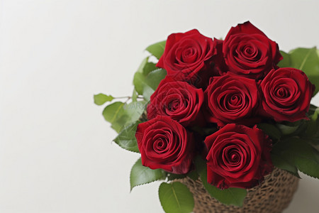 花篮里盛开的红玫瑰图片