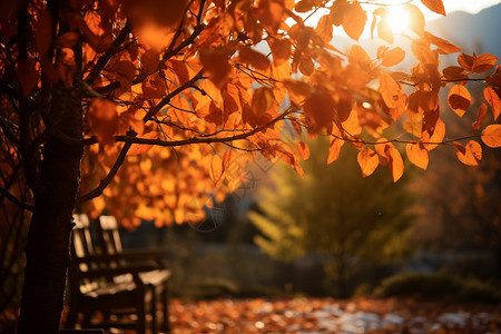 十月的秋季风景图片