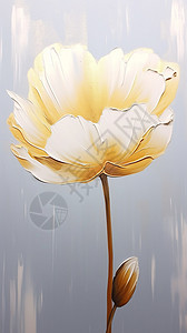 抽象艺术的郁金香花朵背景图片