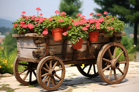 木车上种植花朵盆栽图片