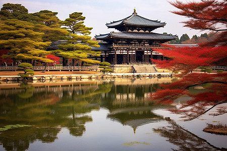 秋天佛教神社公园的美丽景观图片