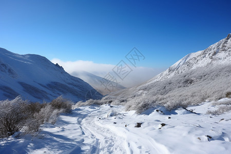 户外美丽的雪景图片