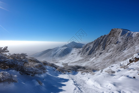 户外被冰雪覆盖的山脉图片