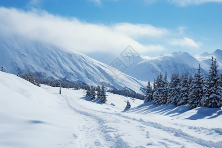 白茫茫的阿尔卑斯山图片