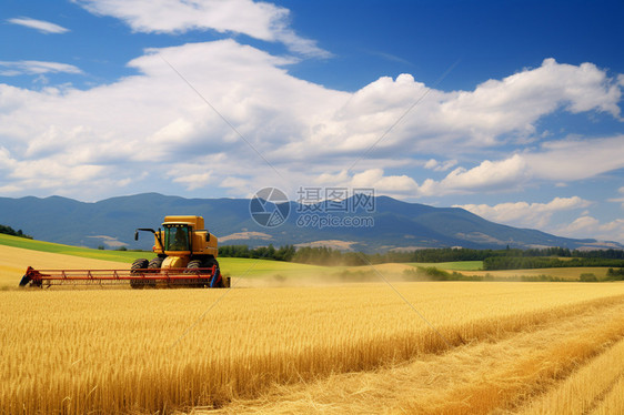 小麦地里收割的机器图片