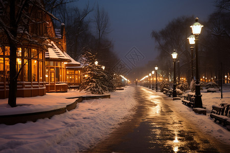 夜晚下雪的街道图片