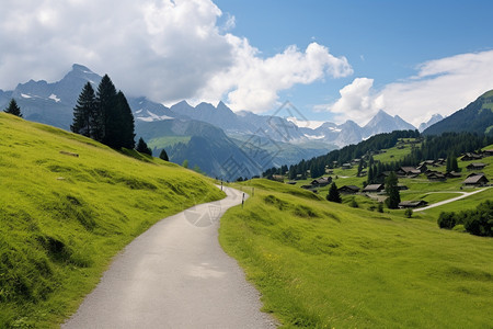 郁郁葱葱的夏天乡村景观图片