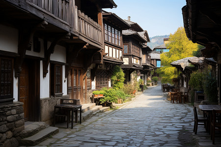 东南农村青石板路背景