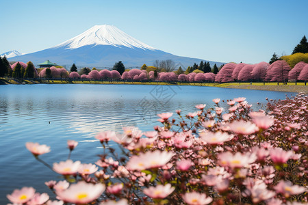 活火山富士山图片