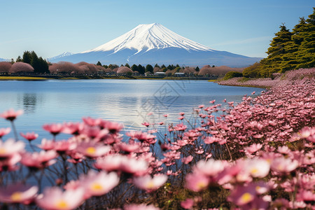 日本灯会著名旅游景点富士山背景