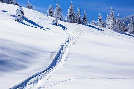 雪地上的路痕高清图片