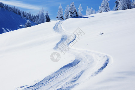 雪地上的环形路痕高清图片