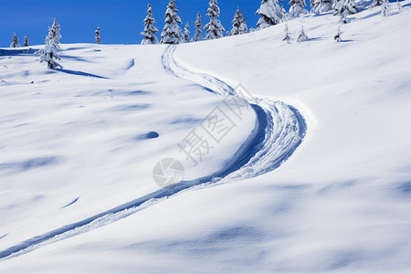 冬天的雪地雪景车痕高清图片