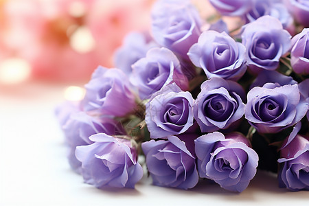 浪漫的紫丁香花朵图片