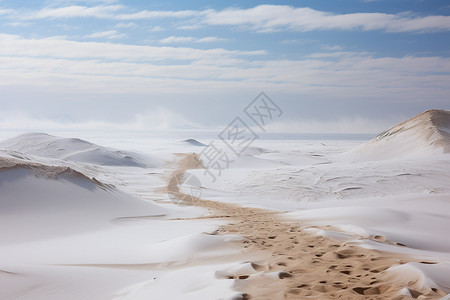 壮观的雪后沙漠图片