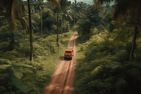 土路上的橙色汽车图片