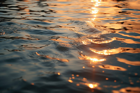 阳光下水面泛起的涟漪高清图片