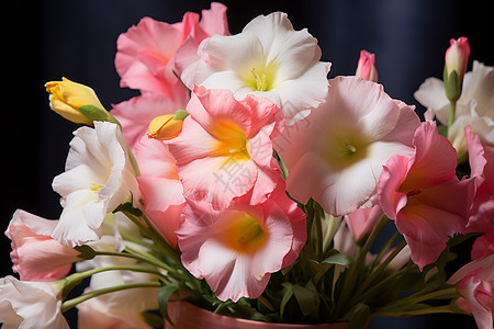 花团锦簇的铃兰花图片