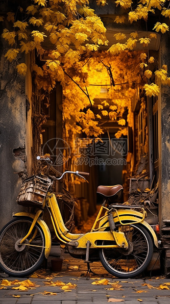 秋季街道上的老式自行车图片