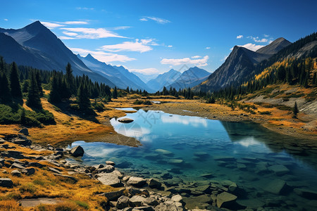 阳光下的高山湖泊景观图片