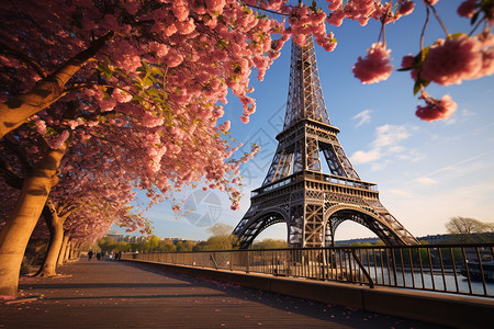 春天埃菲尔铁塔的美丽景观图片