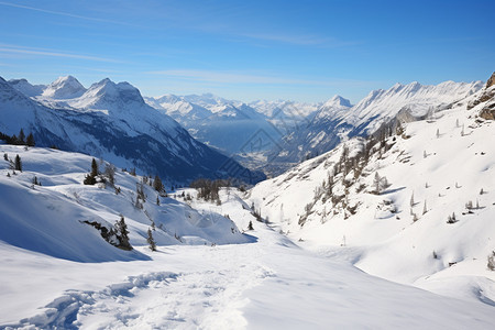 滑雪者在雪山上图片