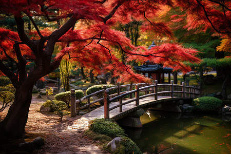 红叶中的小桥与池塘背景图片