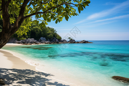 普吉岛海景夏天的普吉岛背景