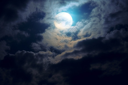 月光绽放的夜晚图片