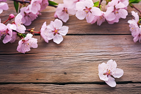 木板上的粉色花朵图片