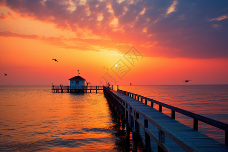 日落夏天海洋的美丽景观图片