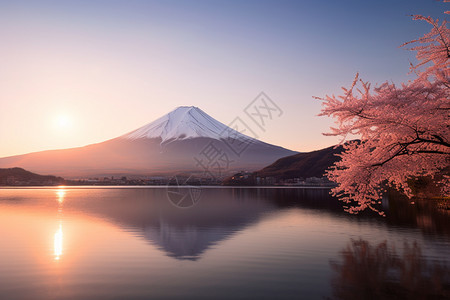 夕阳下的富士山图片