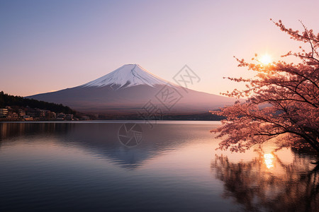 倒影下的富士山图片