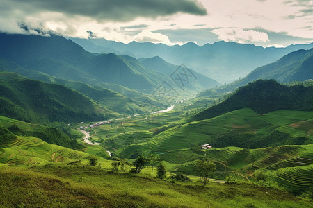 生态风景图片